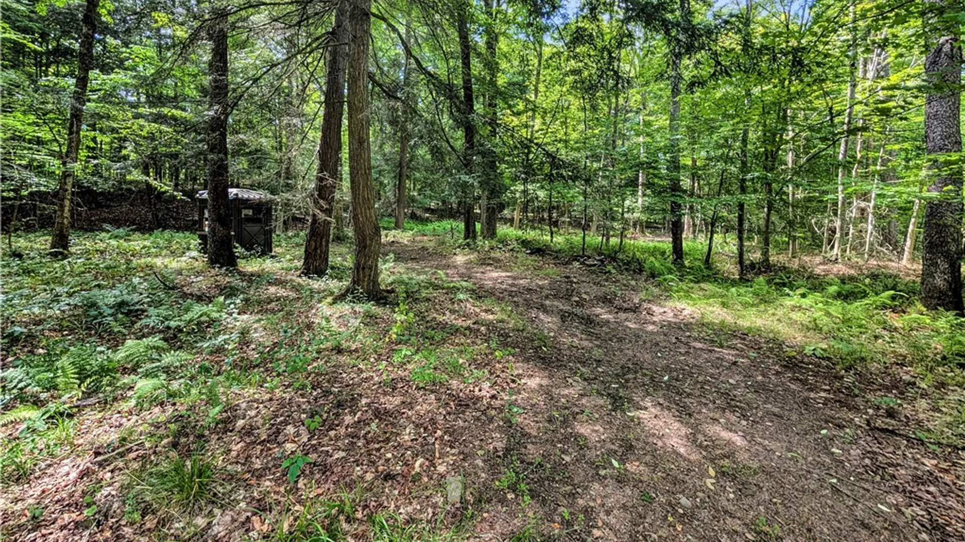 Property at 9885 Seymour Street, Caneadea, NY 14744 15