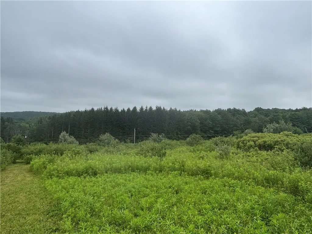 Property at Lot 1 County Route 46, Dansville, NY 14437