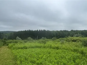 Property at Lot 1 County Route 46, Dansville, NY 14437