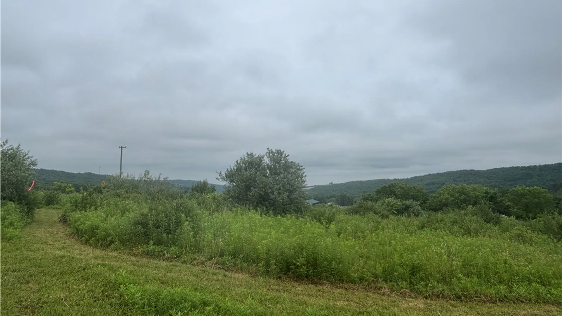 Property at Lot 1 County Route 46, Dansville, NY 14437 3