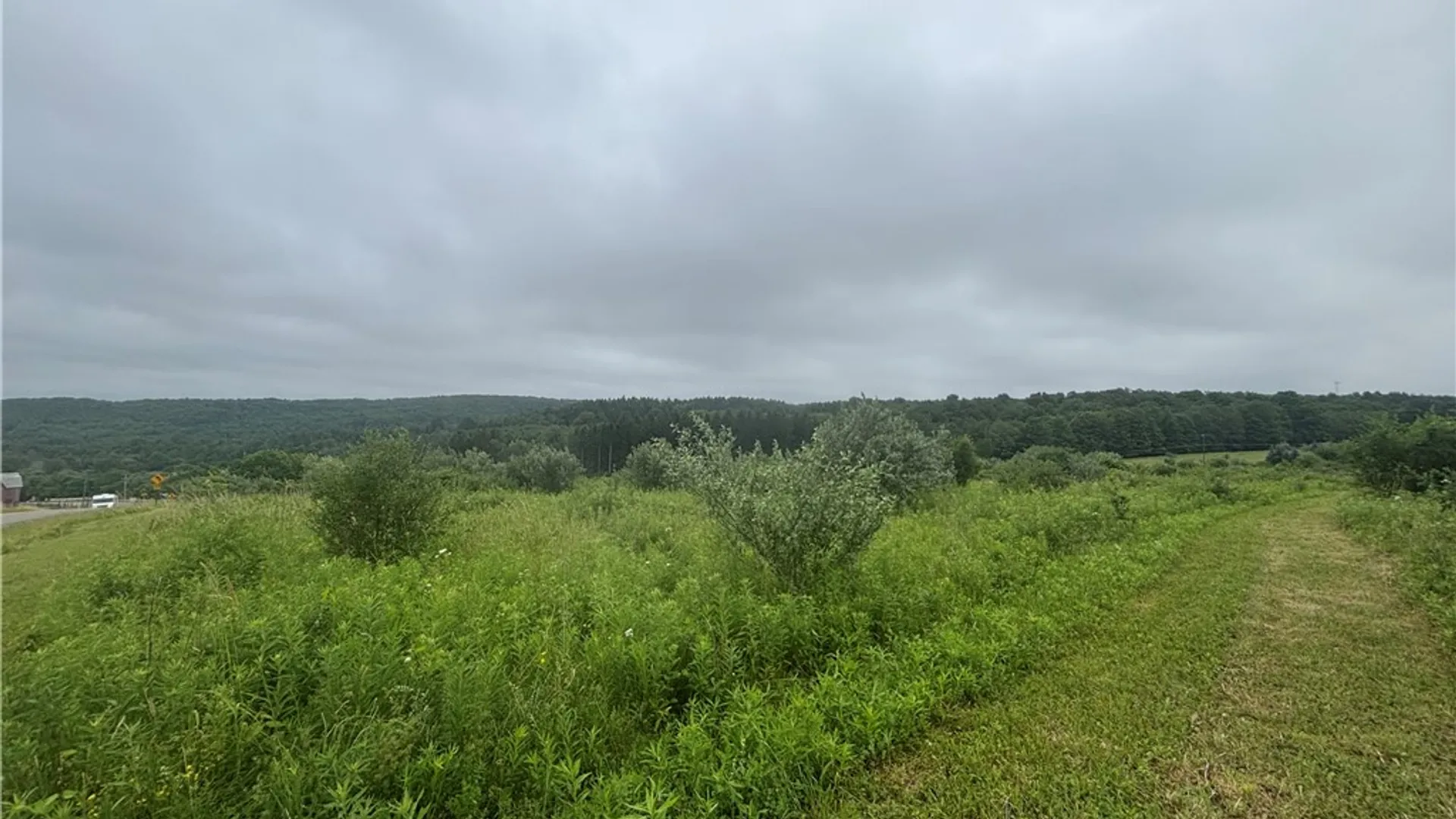 Property at Lot 1 County Route 46, Dansville, NY 14437 4