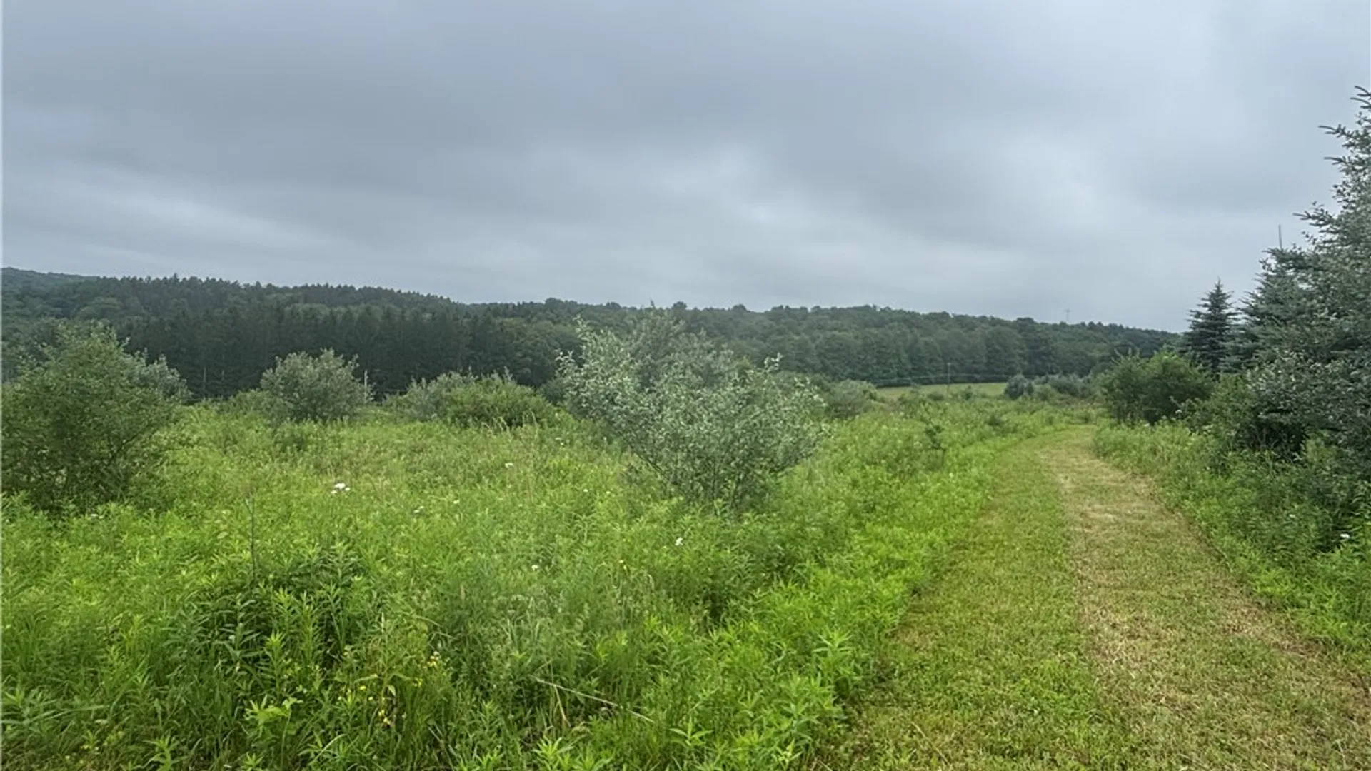 Property at Lot 1 County Route 46, Dansville, NY 14437 5