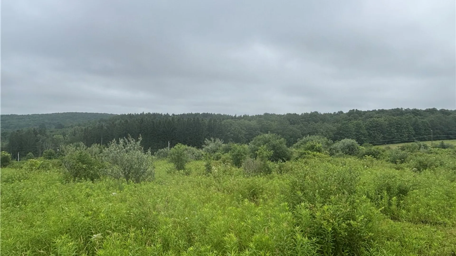 Property at Lot 1 County Route 46, Dansville, NY 14437 6