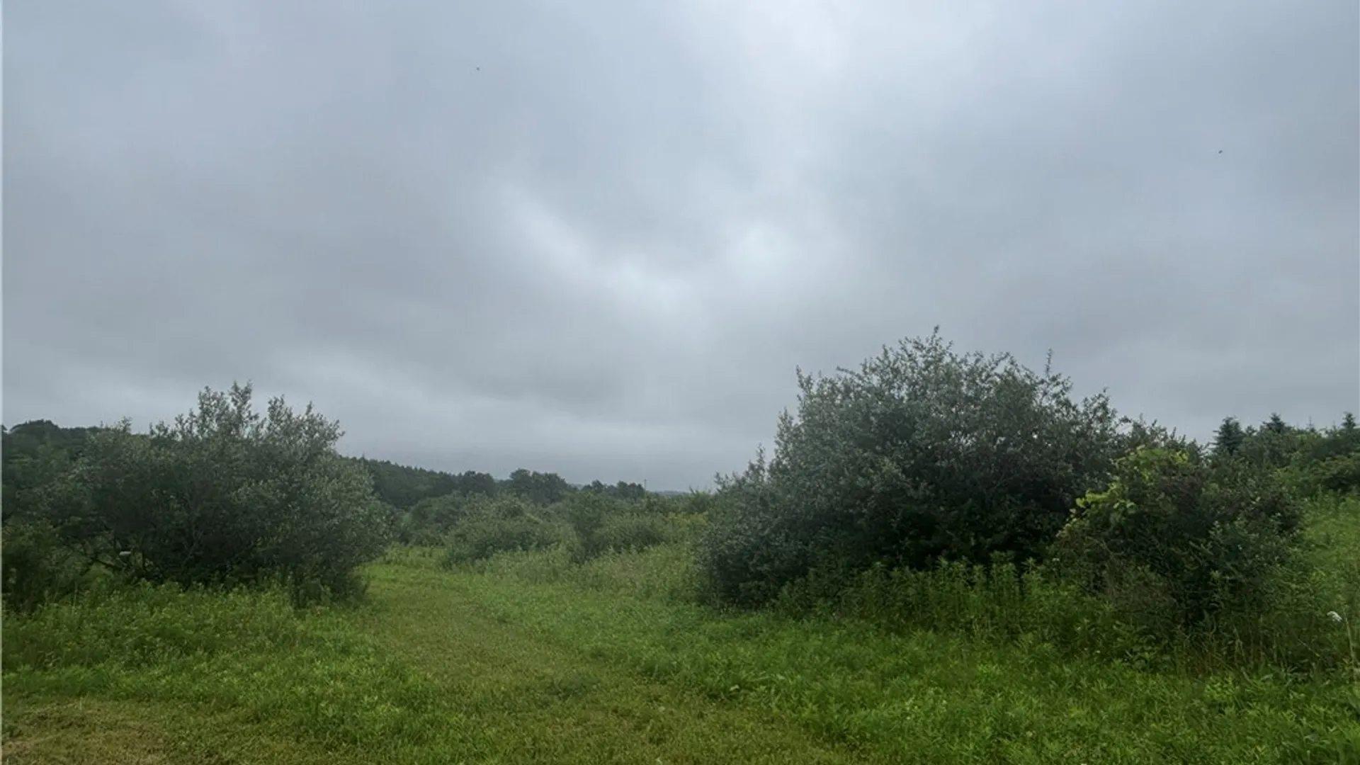 Property at VL Lot 2 County Route 46, Dansville, NY 14437 3