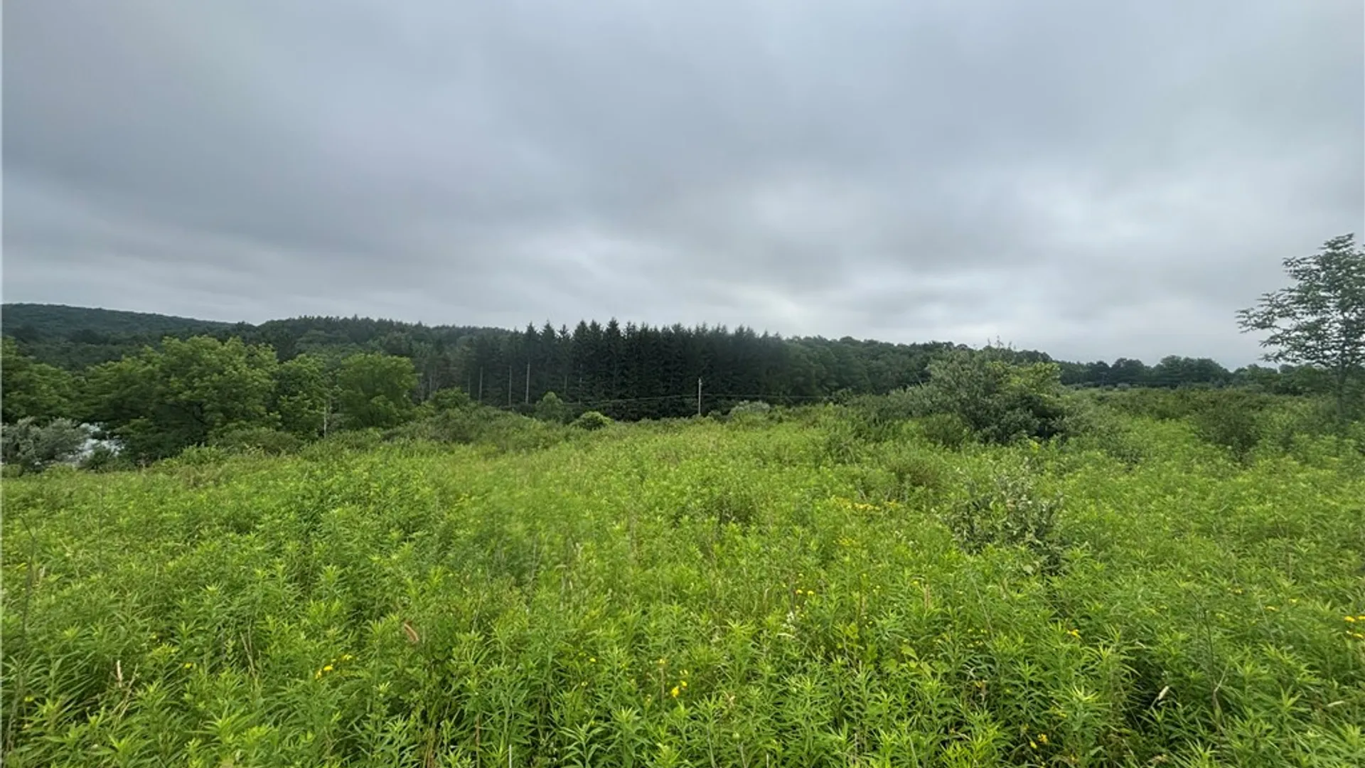 Property at VL Lot 2 County Route 46, Dansville, NY 14437 4