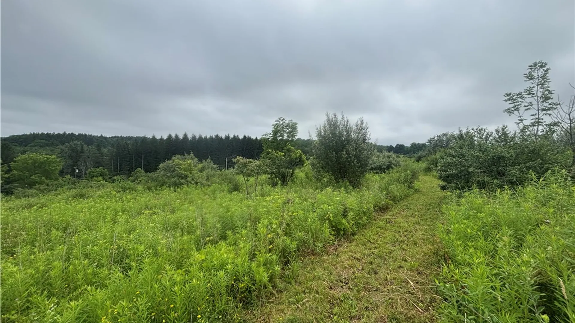 Property at VL Lot 2 County Route 46, Dansville, NY 14437 5