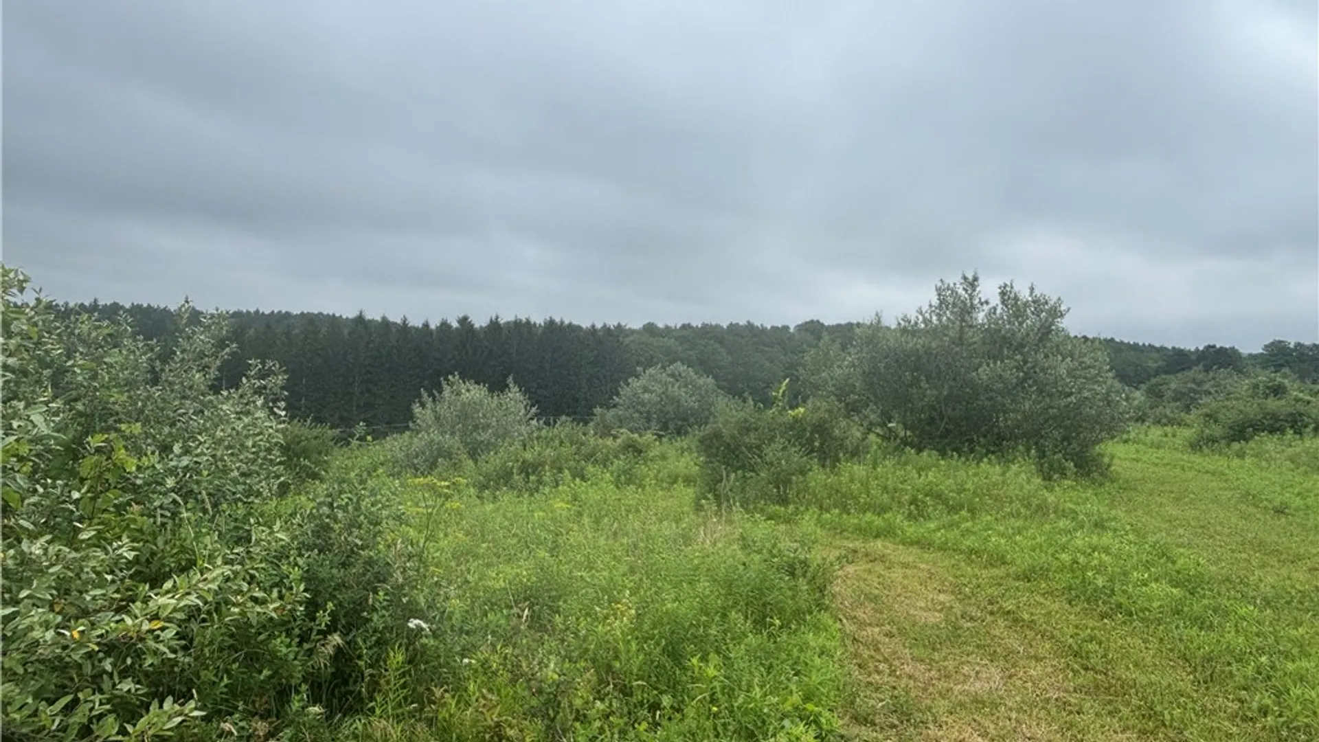 Property at VL Lot 2 County Route 46, Dansville, NY 14437 6
