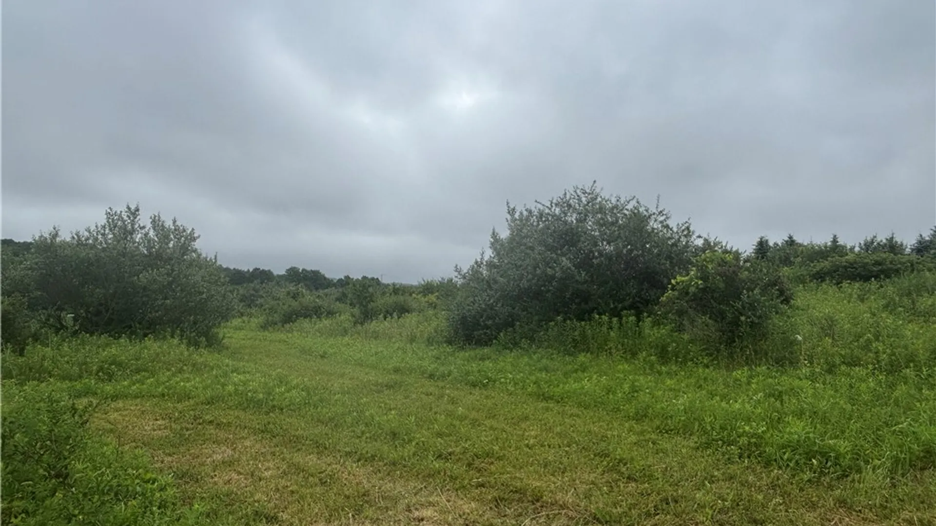 Property at VL Lot 2 County Route 46, Dansville, NY 14437 8