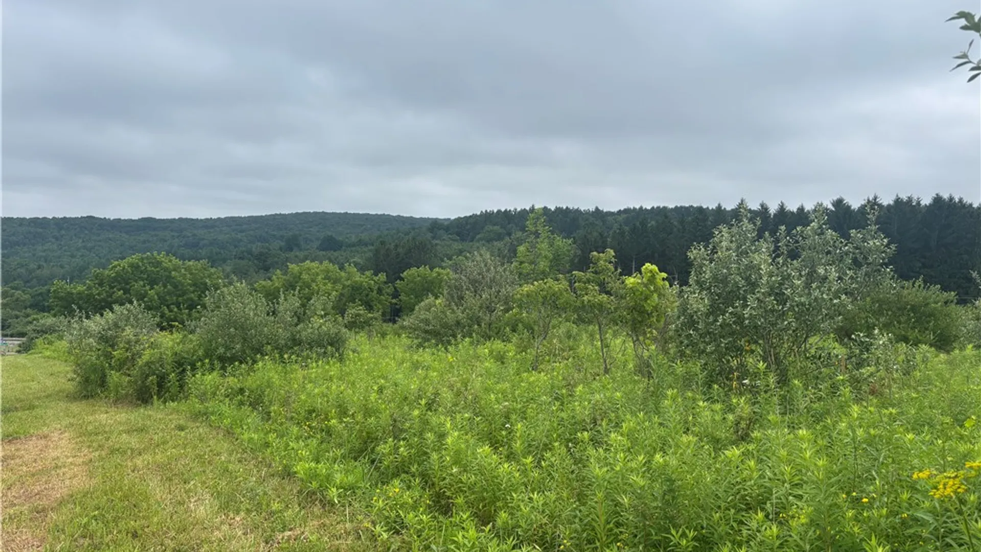 Property at VL Lot 2 County Route 46, Dansville, NY 14437 9