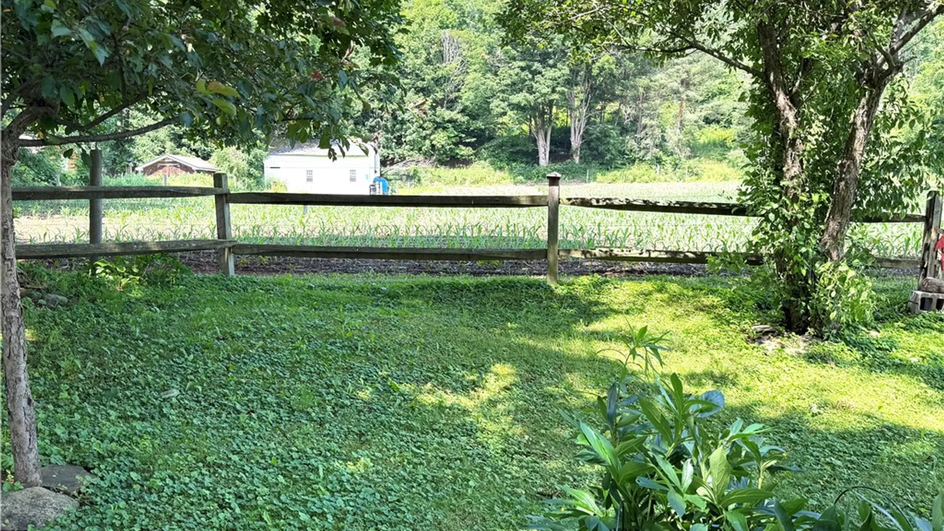 Property at 12 S Dansville Street, Cohocton, NY 14826 9