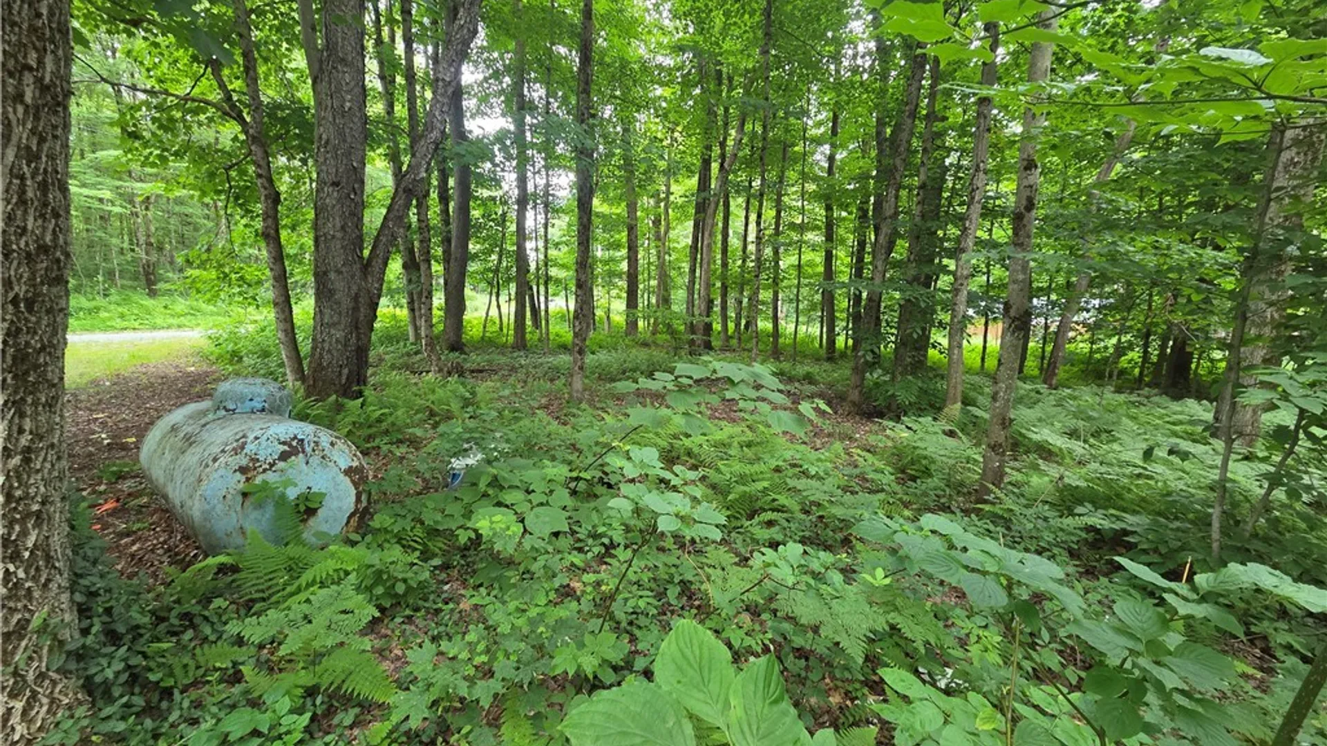 Property at 3147 Potter Road, Osceola, NY 13437 46