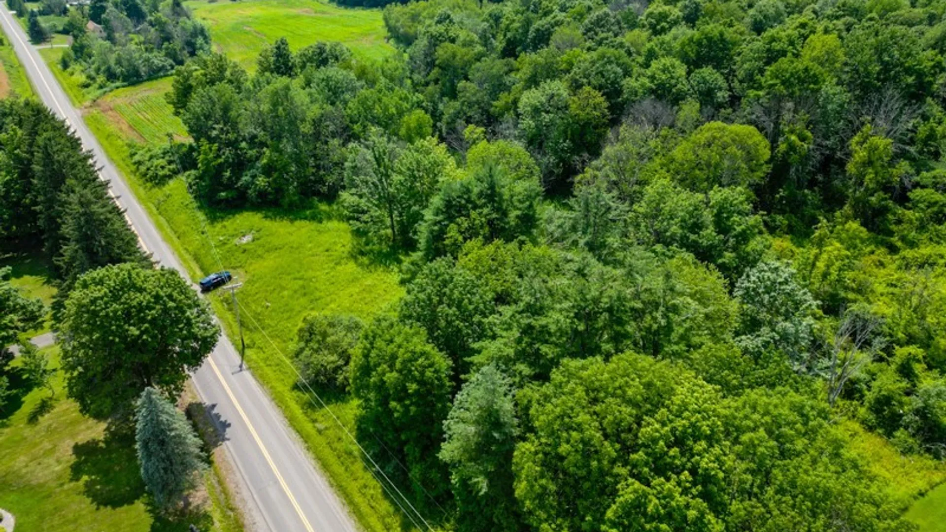 Property at 369 Windfall Rd, Schuyler, NY 13340 15