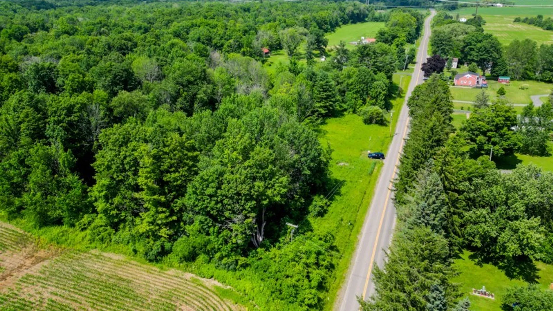 Property at 369 Windfall Rd, Schuyler, NY 13340 16