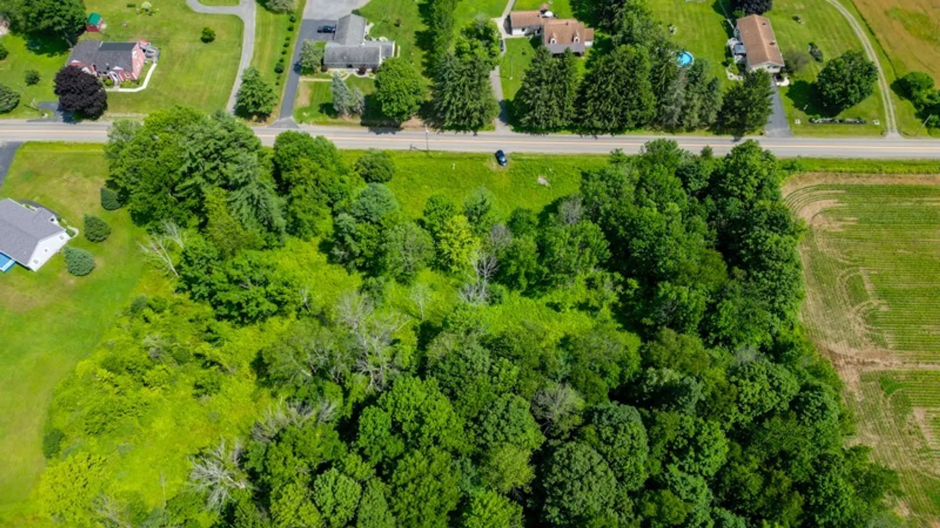 Property at 369 Windfall Rd, Schuyler, NY 13340 9