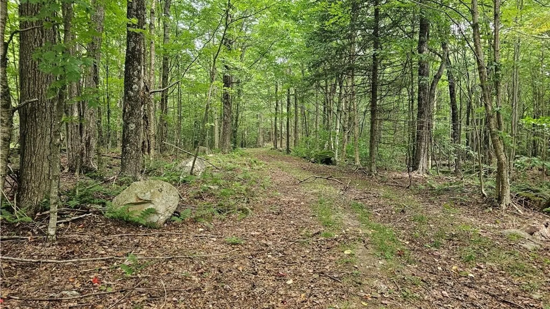Property at 2765 State Highway 72, Hopkinton, NY 13676 8