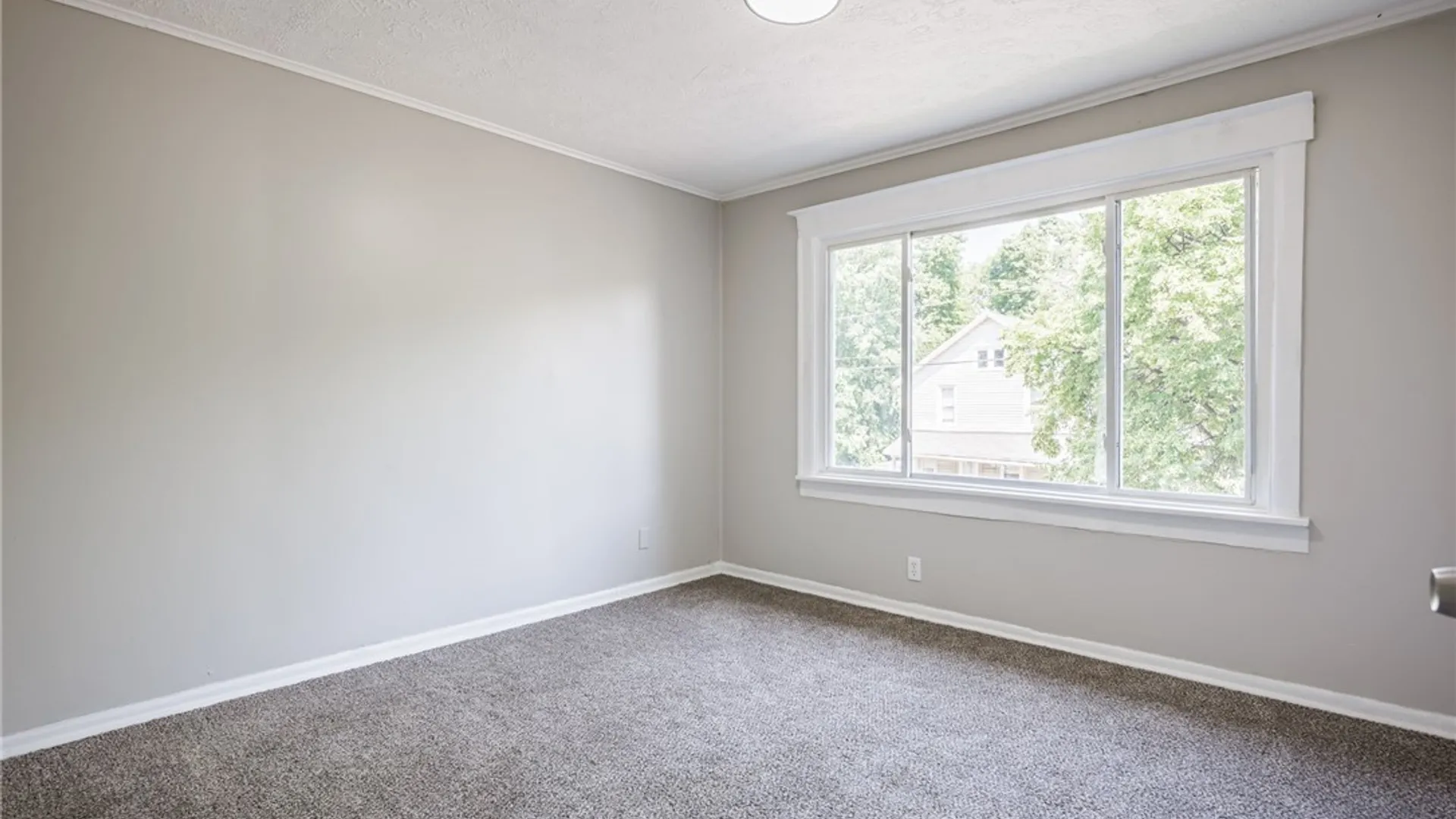 Property at 219 Dr Samuel Mccree, Rochester, NY 14611 20