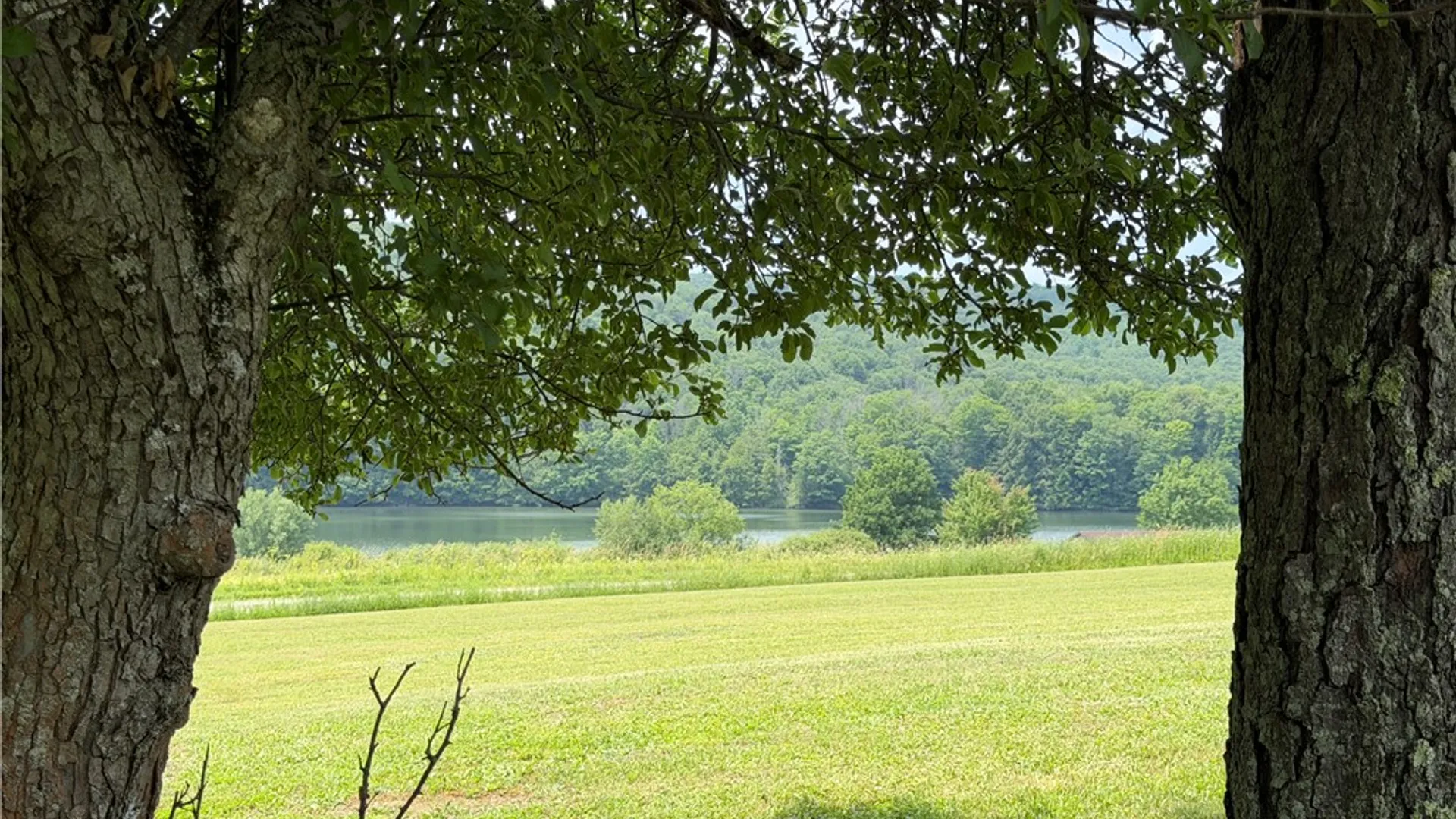 Property at VL Lyndon Abbott Road, Franklinville, NY 14737 12