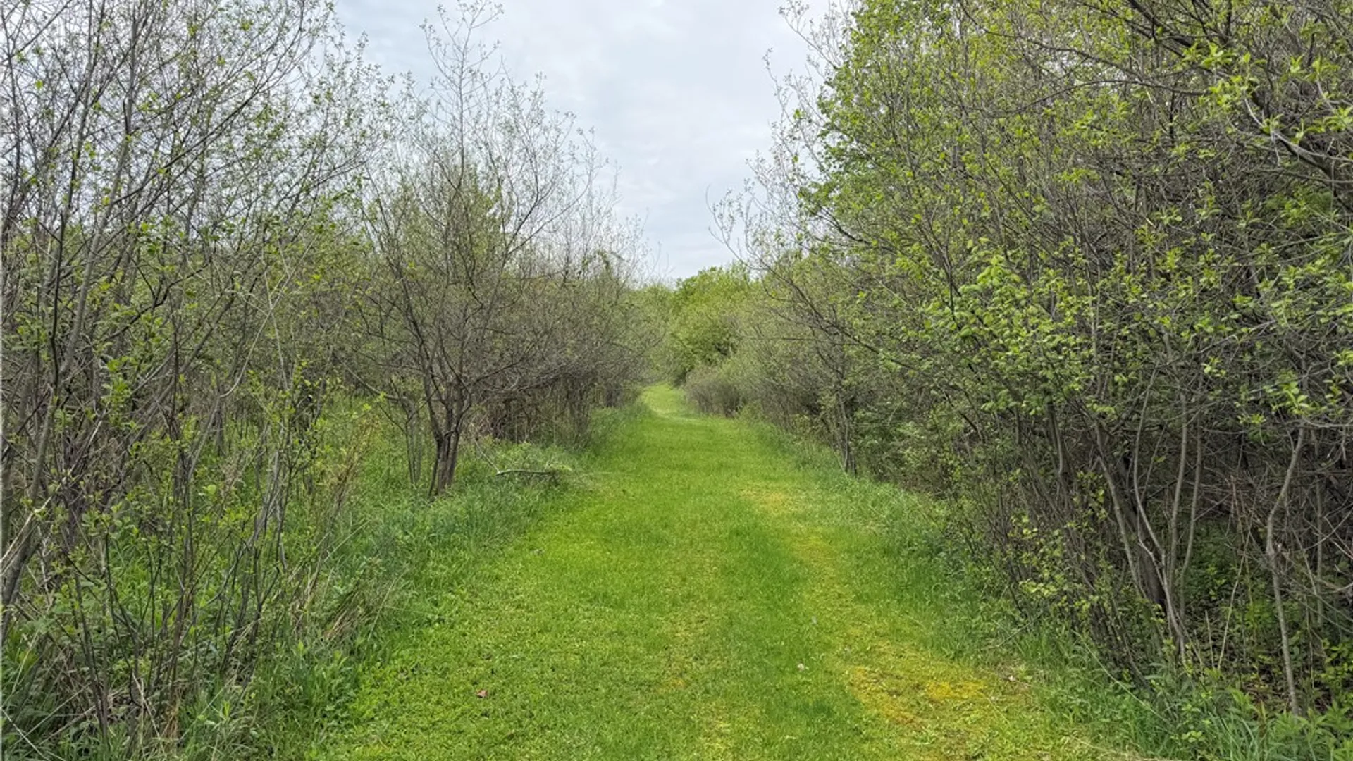 Property at VL Lyndon Abbott Road, Franklinville, NY 14737 19