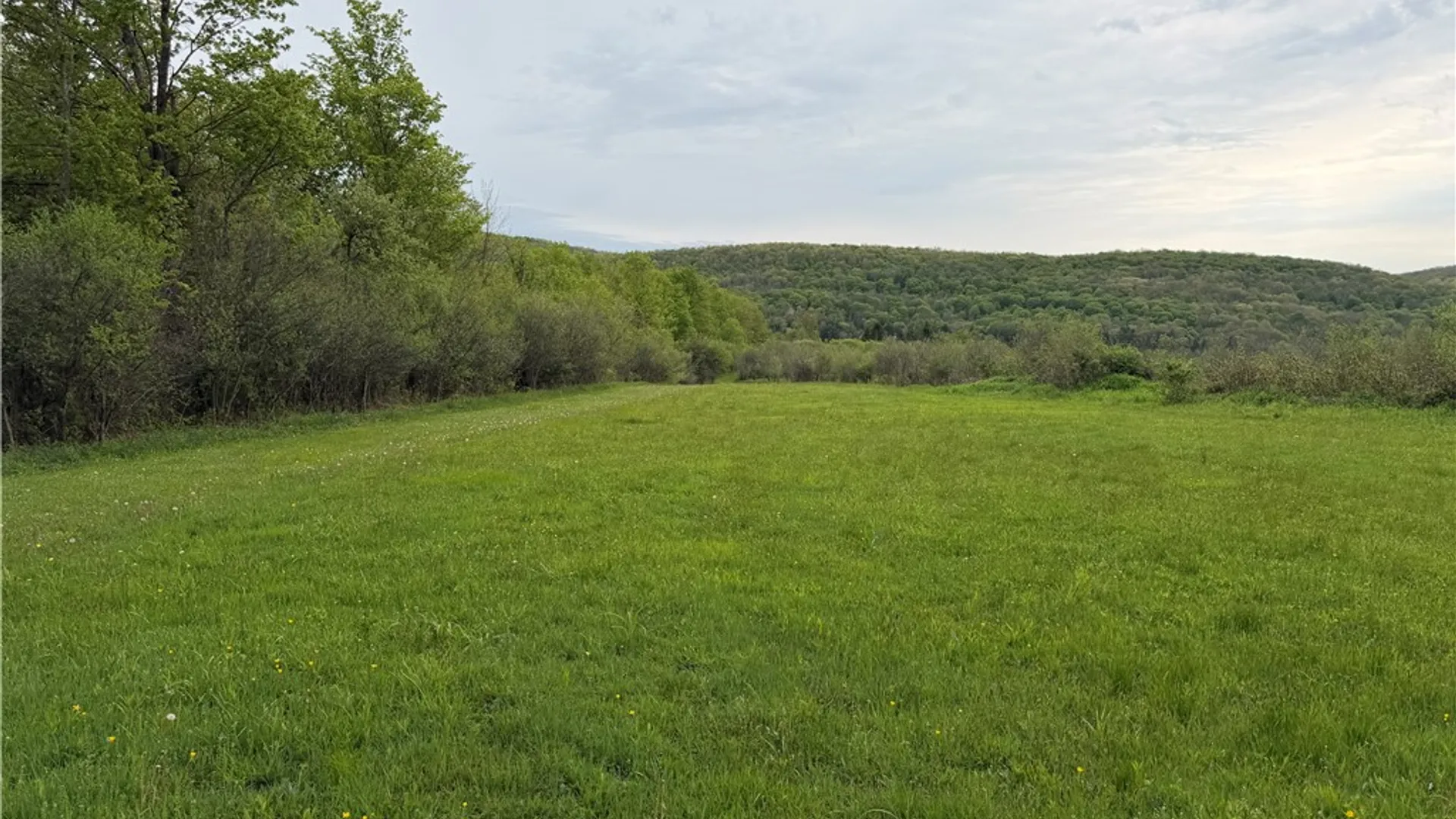 Property at VL Lyndon Abbott Road, Franklinville, NY 14737 20