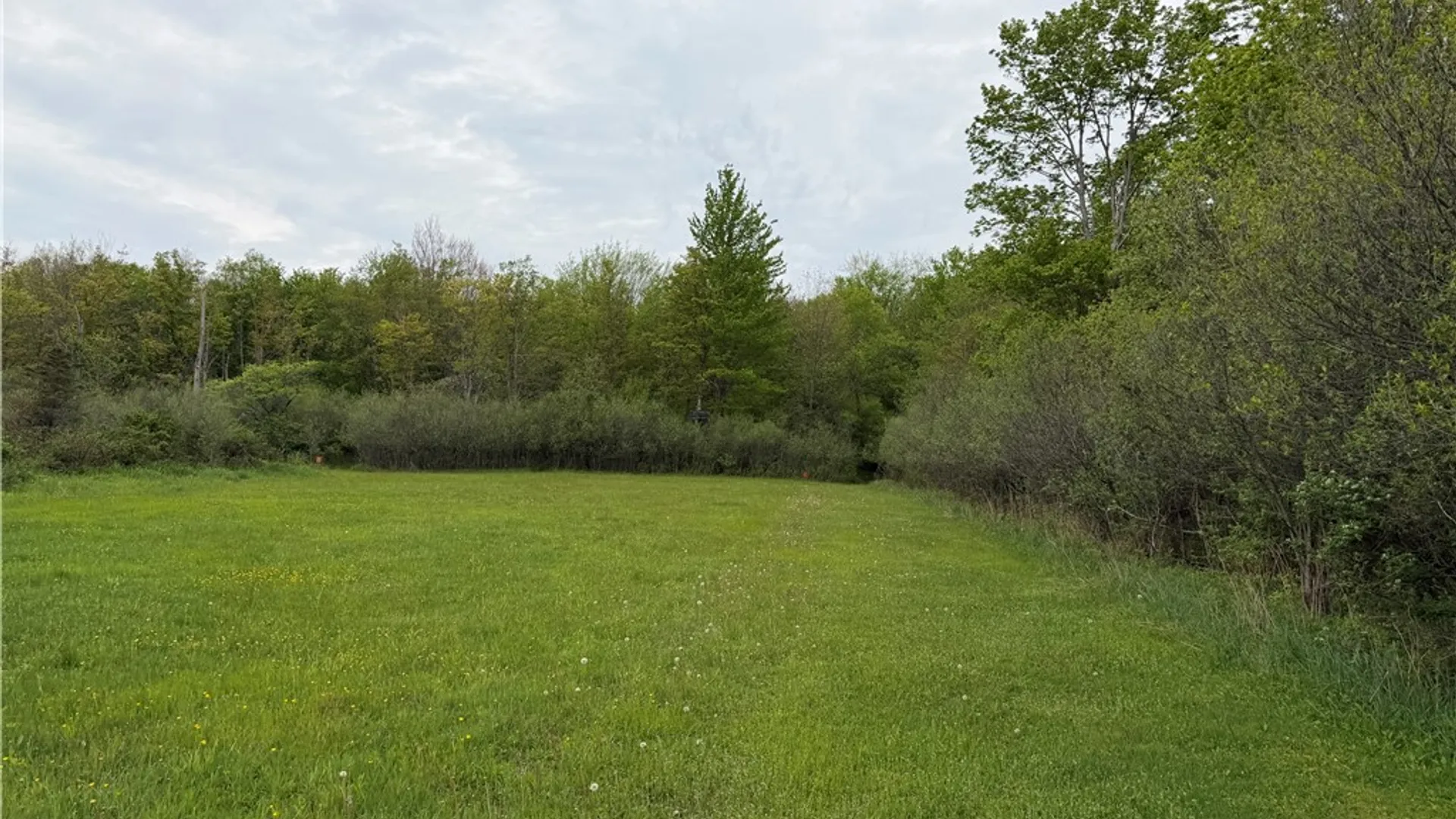 Property at VL Lyndon Abbott Road, Franklinville, NY 14737 21