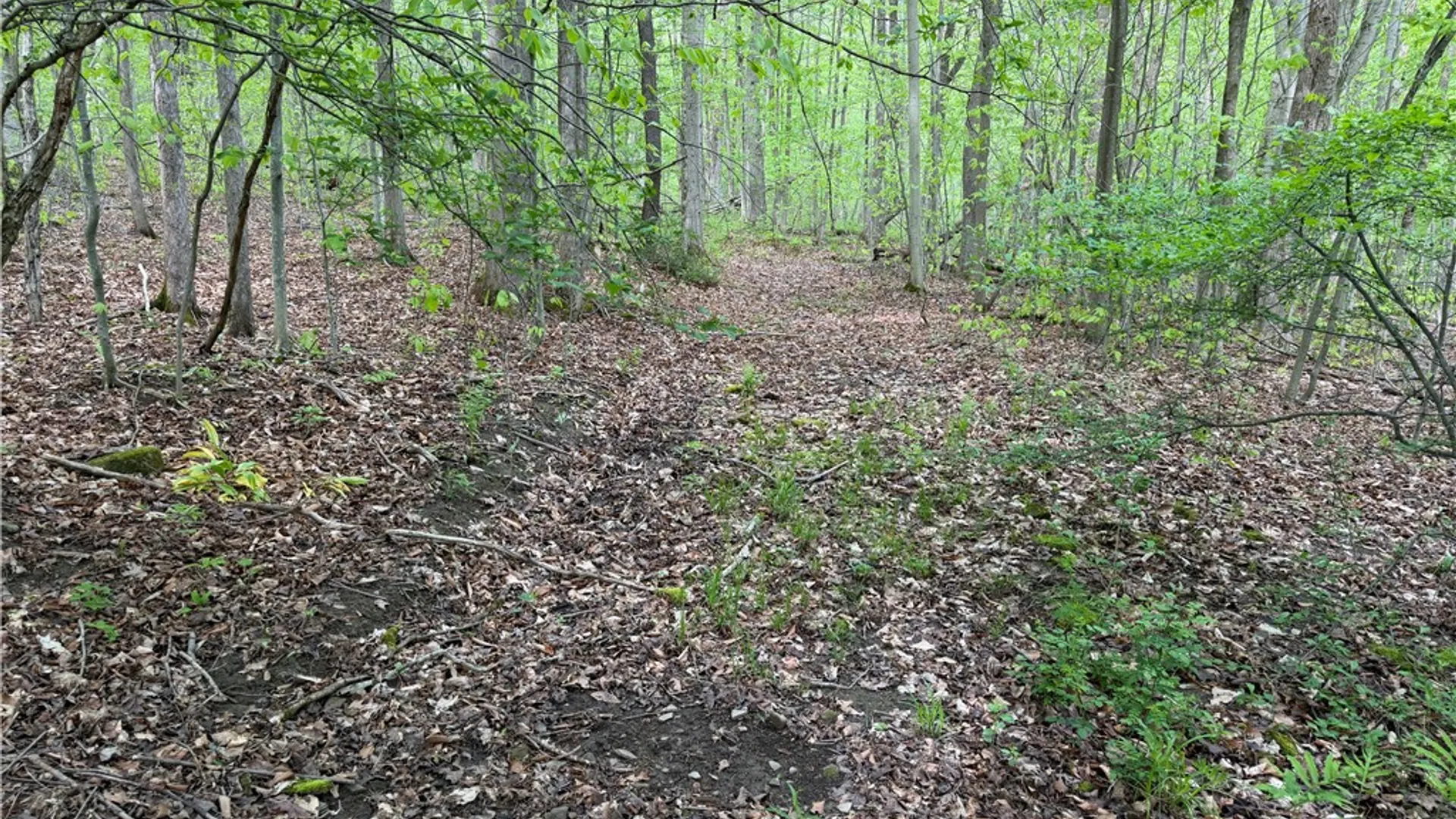 Property at VL Lyndon Abbott Road, Franklinville, NY 14737 30