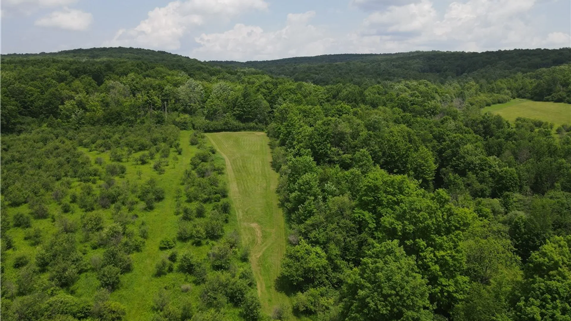 Property at VL Lyndon Abbott Road, Franklinville, NY 14737 44