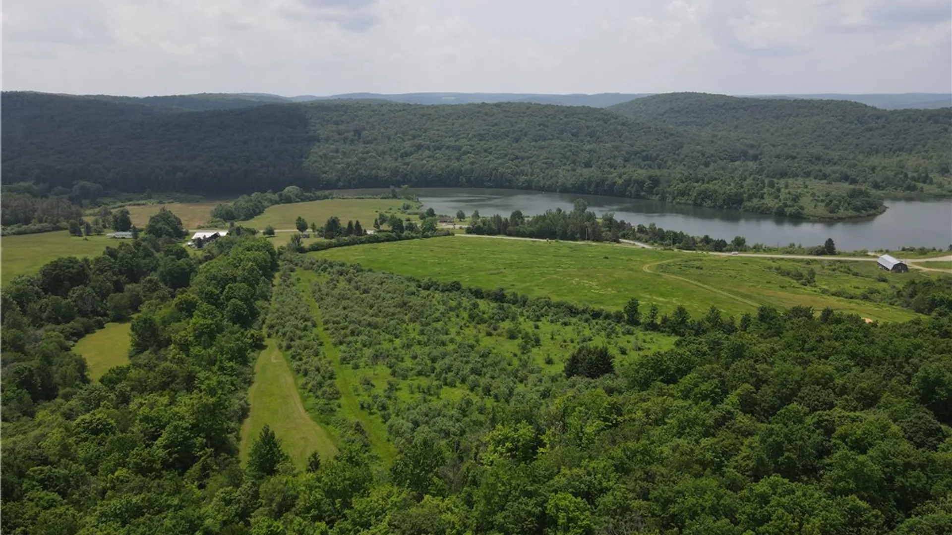 Property at VL Lyndon Abbott Road, Franklinville, NY 14737 45