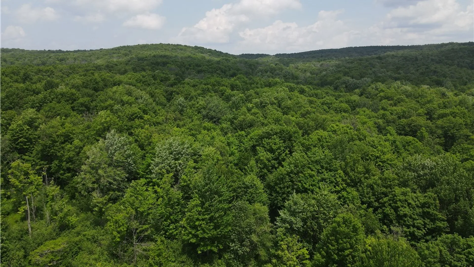 Property at VL Lyndon Abbott Road, Franklinville, NY 14737 46