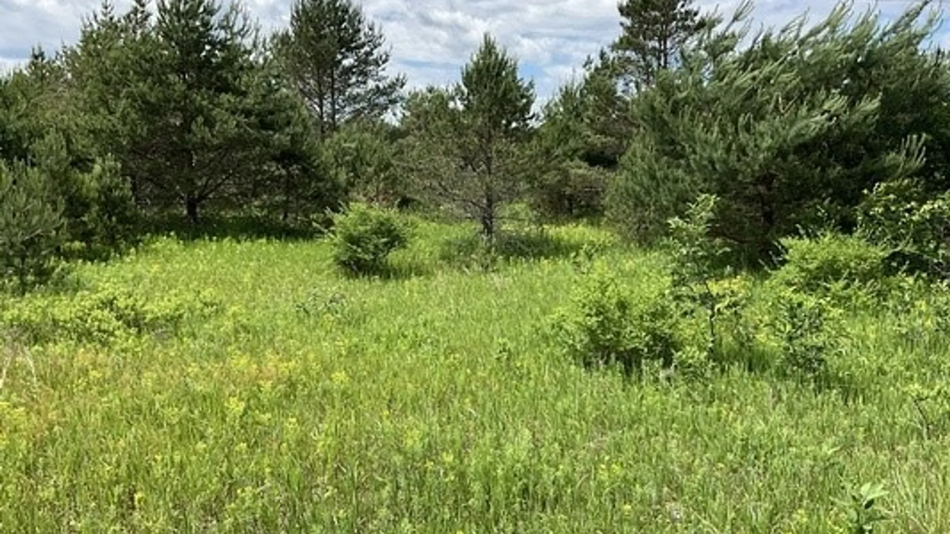 Property at Rt-812, Pitcairn, NY 13648 3