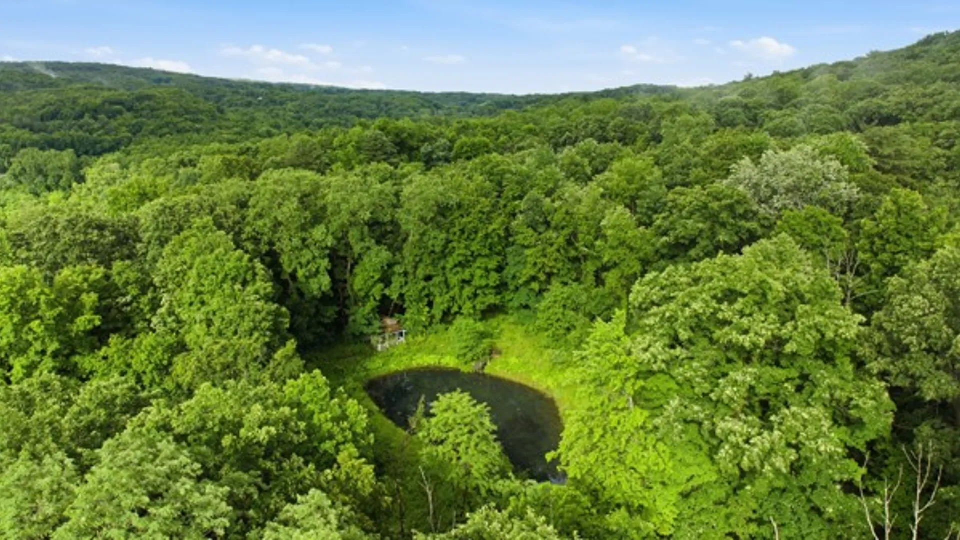 Property at 6070 Italy Valley Road, Italy, NY 14512 11