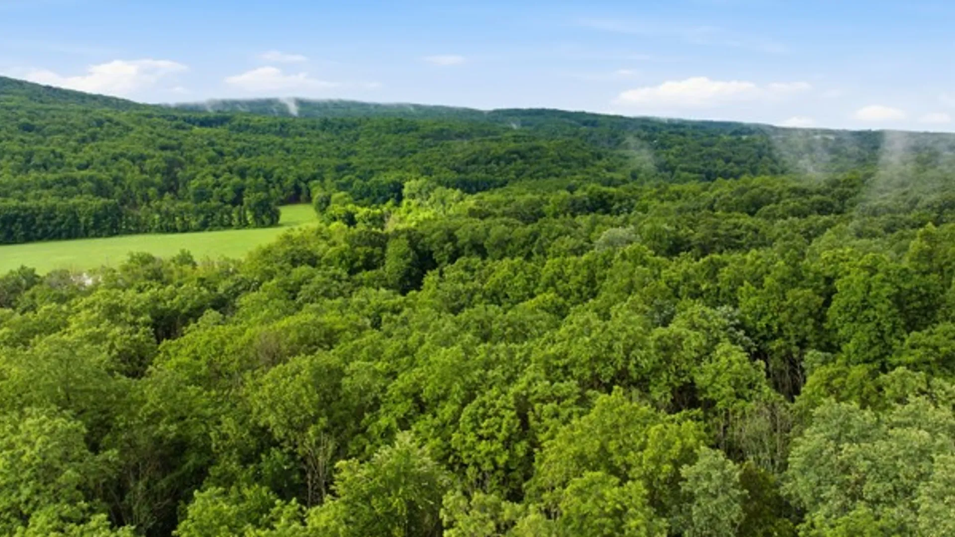 Property at 6070 Italy Valley Road, Italy, NY 14512 13