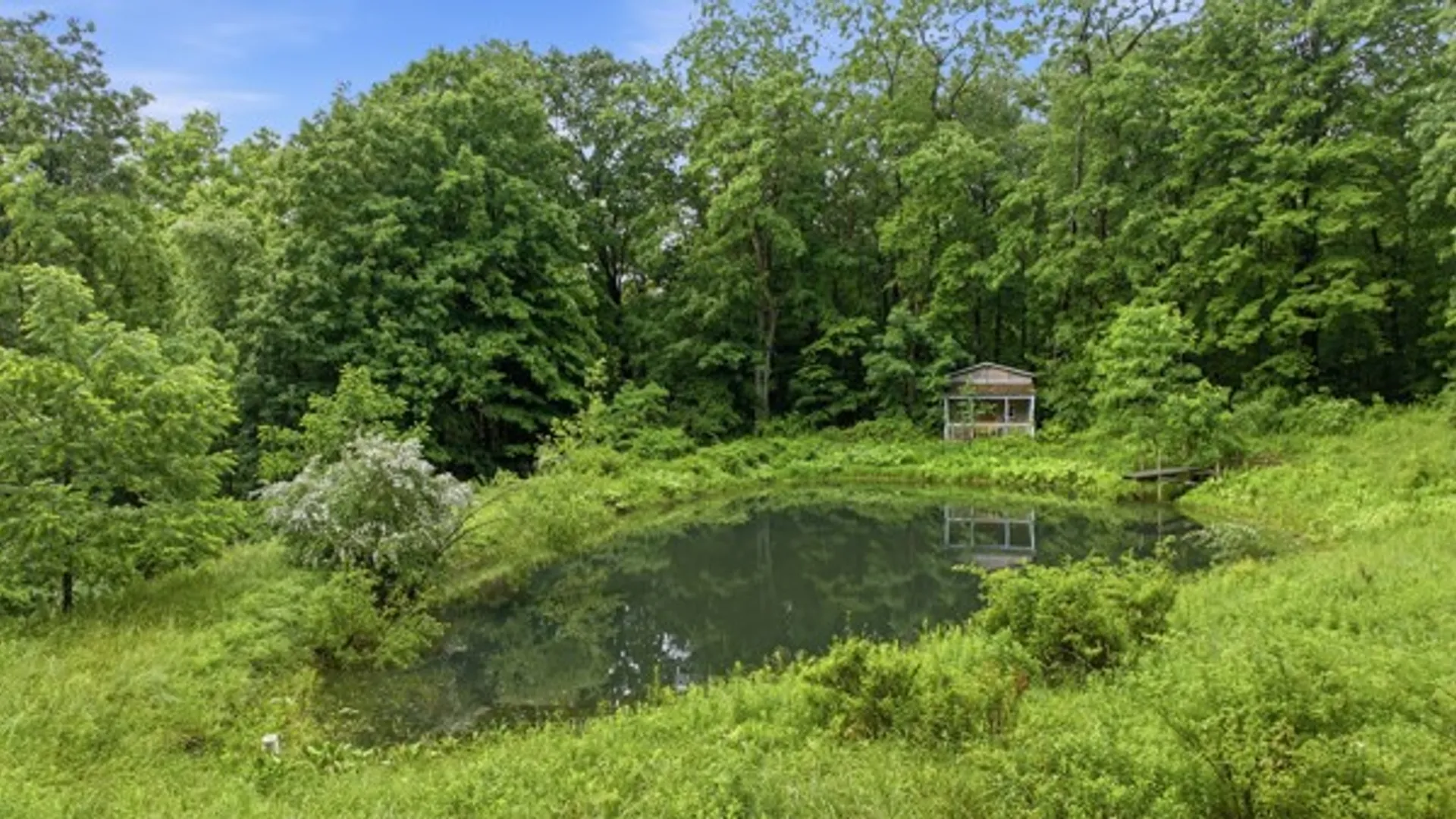 Property at 6070 Italy Valley Road, Italy, NY 14512 9