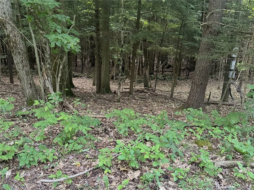 Property at Deer Path, Jefferson, NY 12167