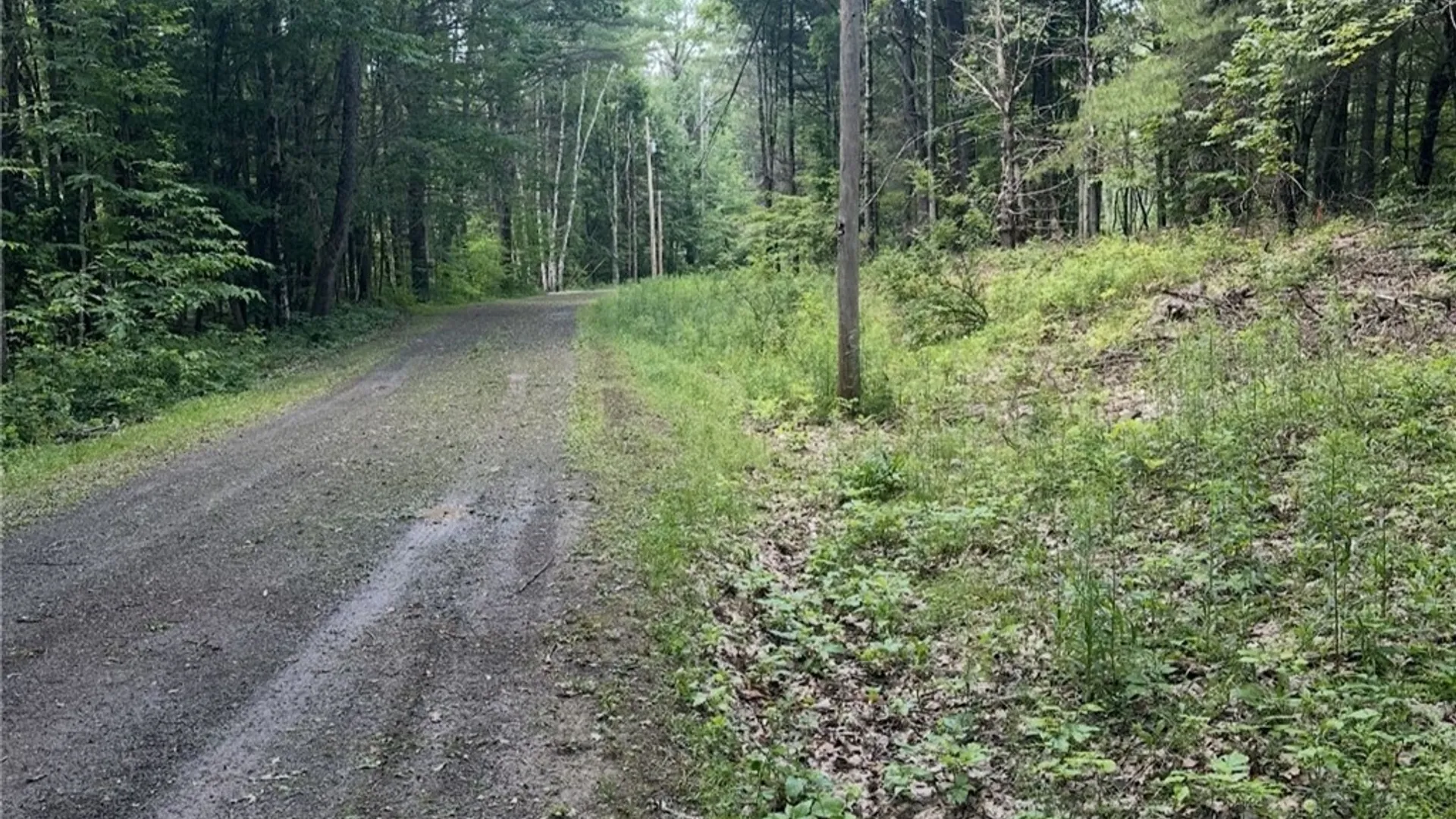 Property at Deer Path, Jefferson, NY 12167 3