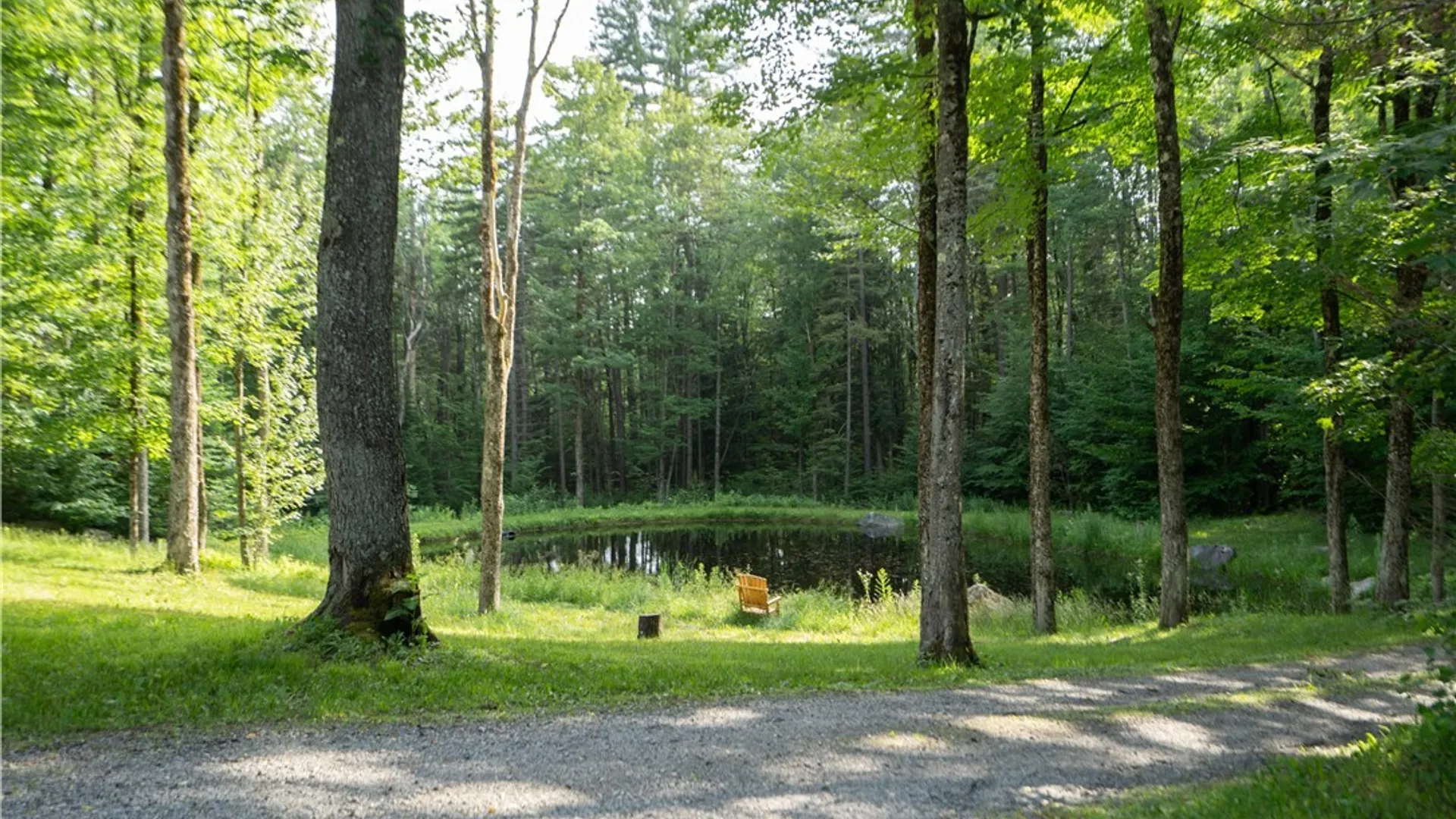 Property at 369 Avery Road, Stratford, NY 13470 42