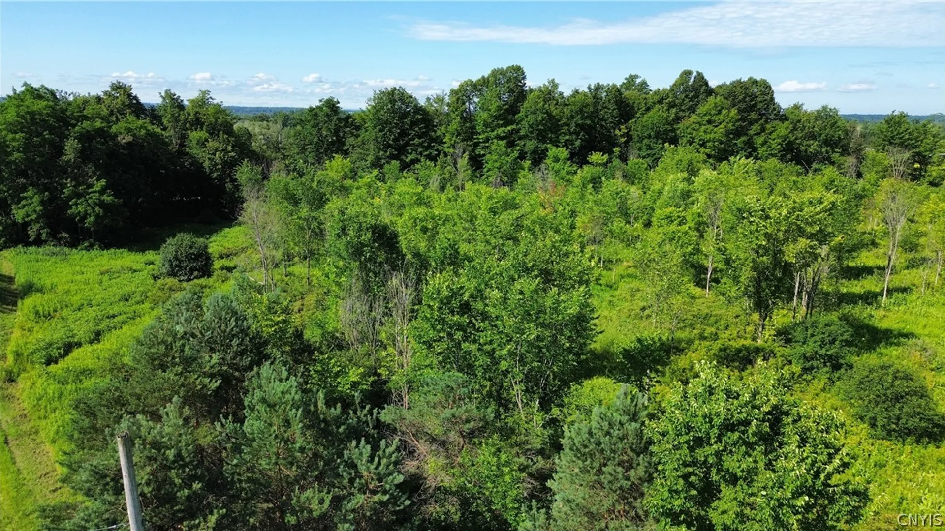 Property at Rockbrook Road, Le Ray, NY 13637 4