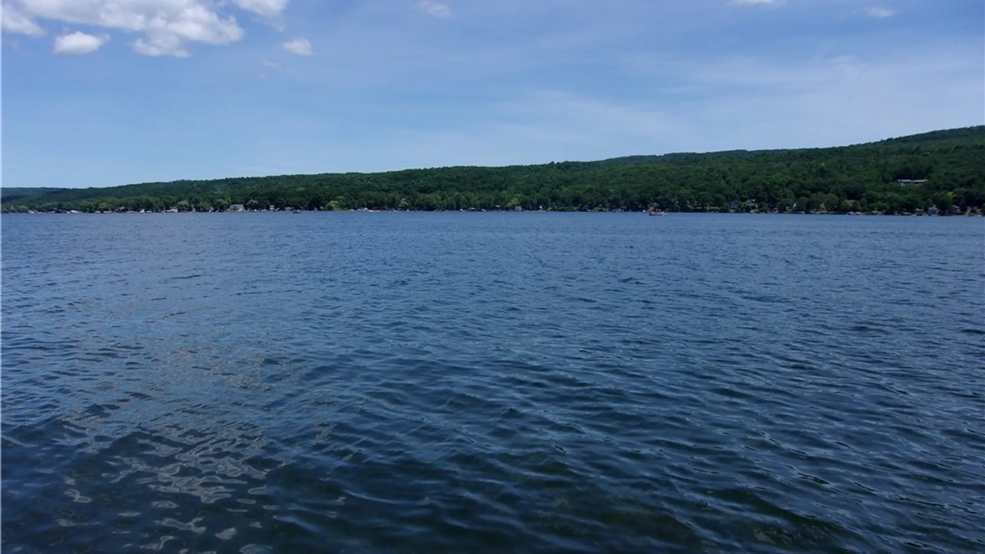Property at 94 Lakeview Dr., Canadice, NY 14471 37