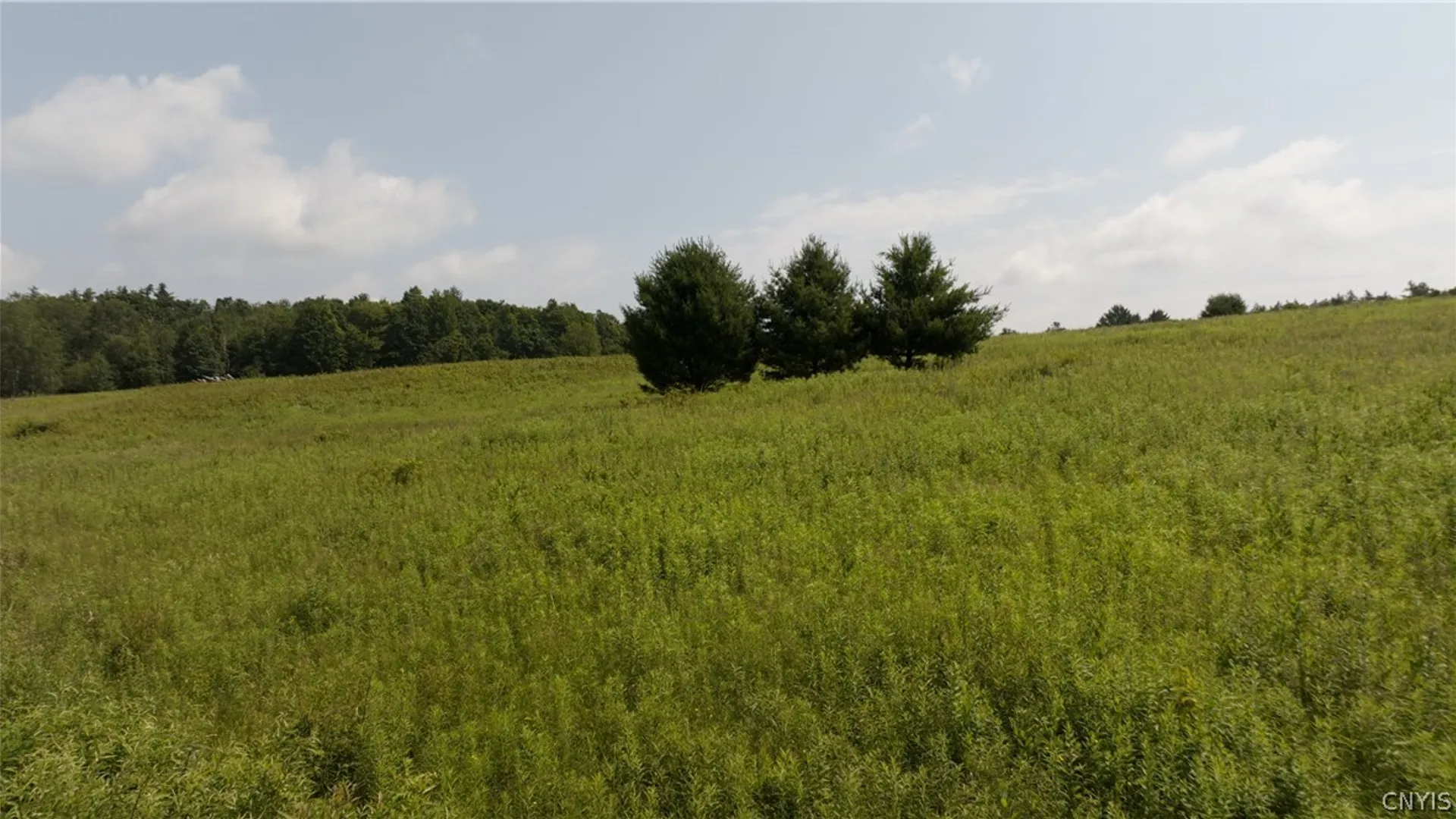 Property at 137 Windham Road, Smithville, NY 13778 3