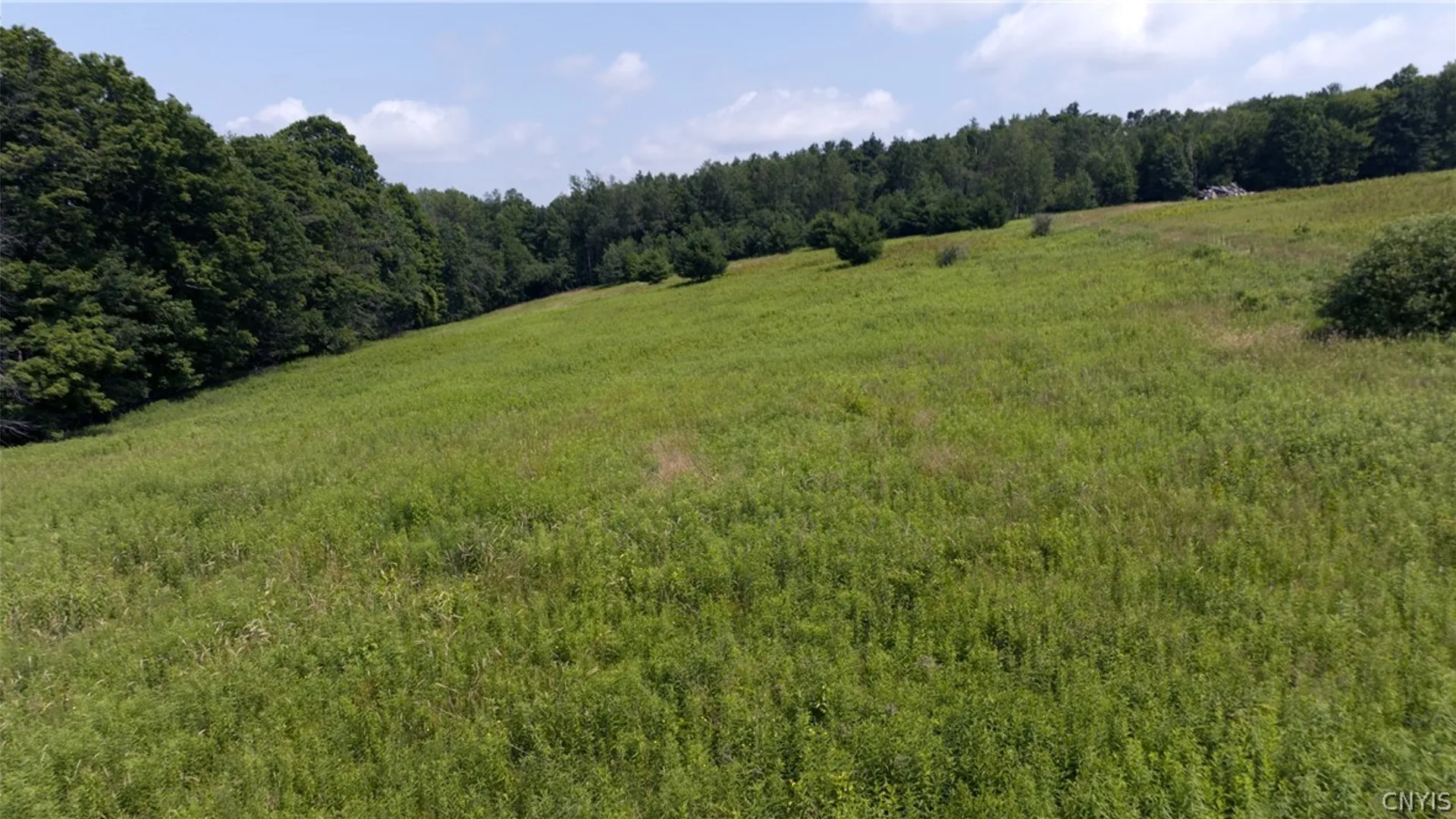 Property at 137 Windham Road, Smithville, NY 13778 4