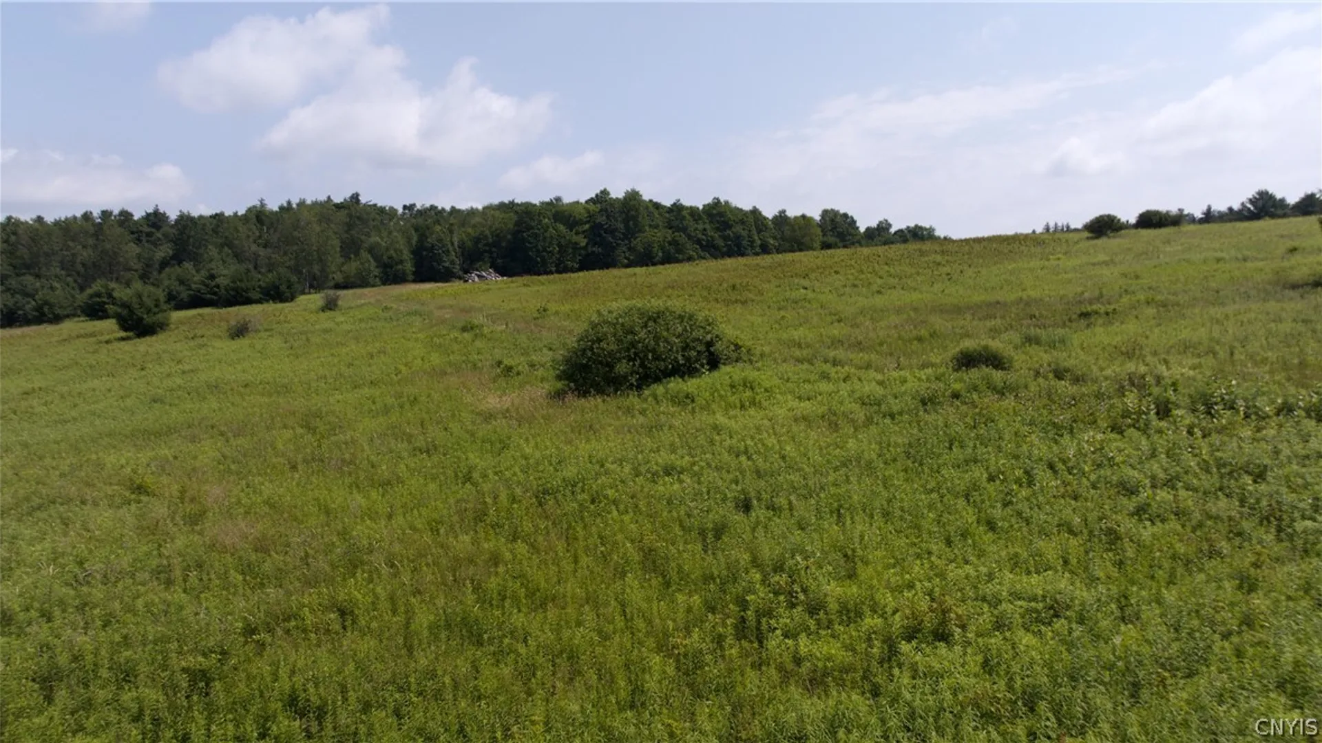 Property at 137 Windham Road, Smithville, NY 13778 5