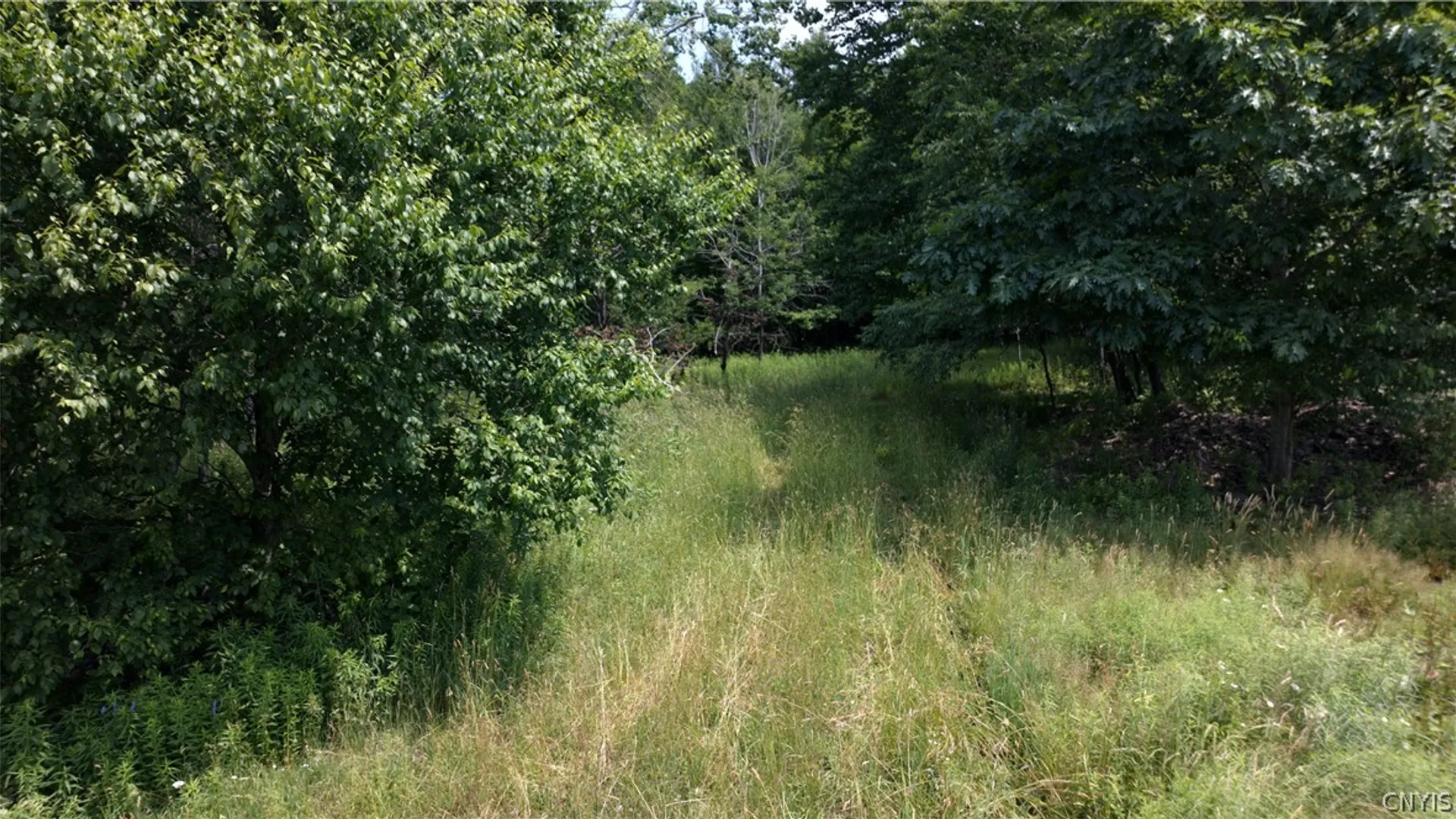 Property at 137 Windham Road, Smithville, NY 13778 11