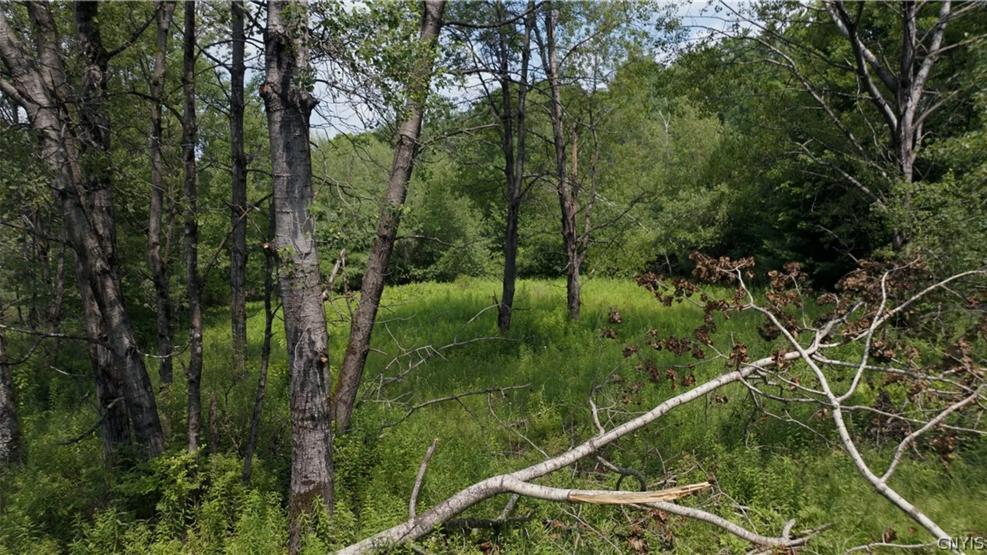 Property at 137 Windham Road, Smithville, NY 13778 12