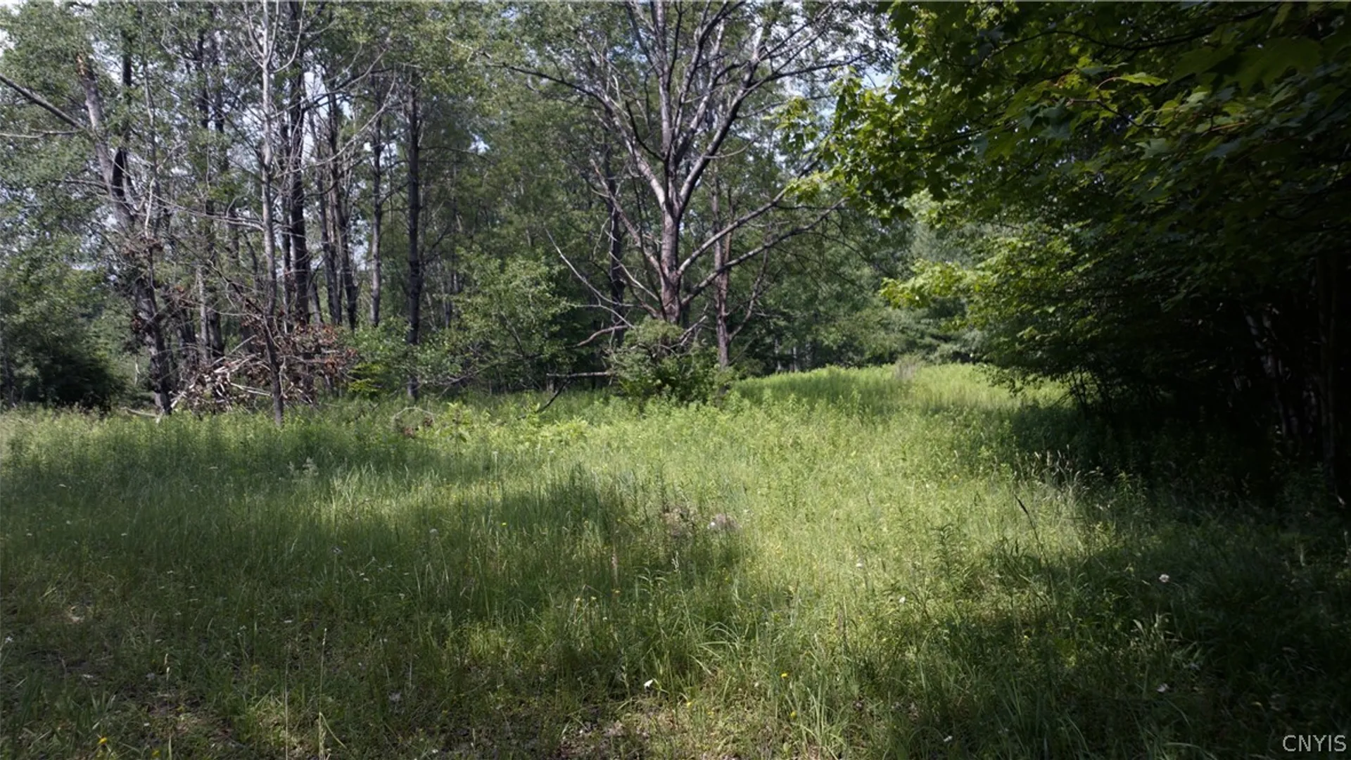 Property at 137 Windham Road, Smithville, NY 13778 13