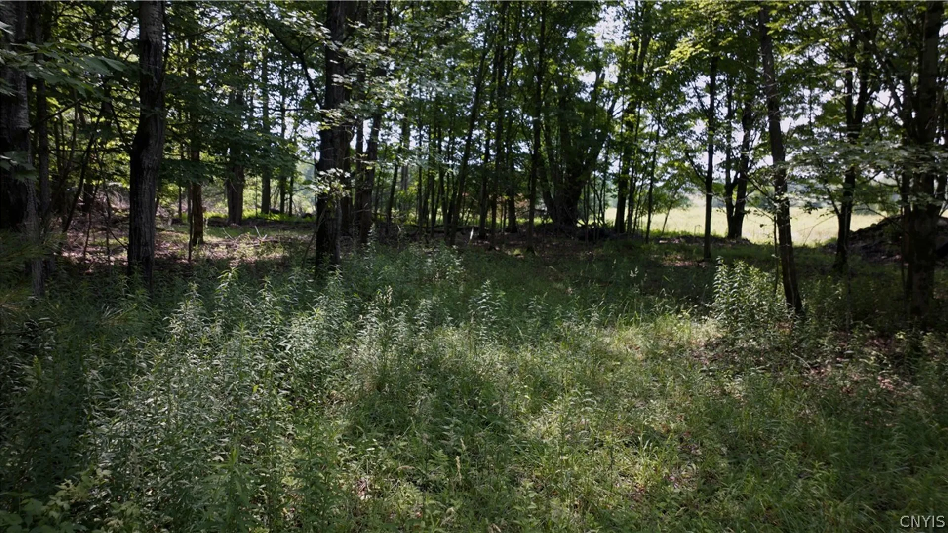 Property at 137 Windham Road, Smithville, NY 13778 14