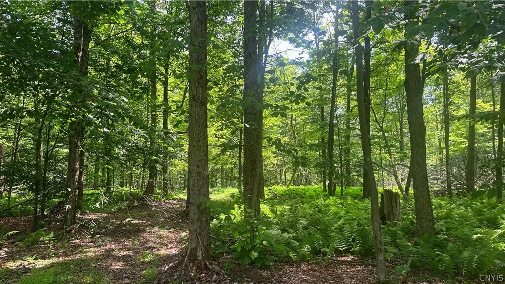 Property at 137 Windham Road, Smithville, NY 13778 6
