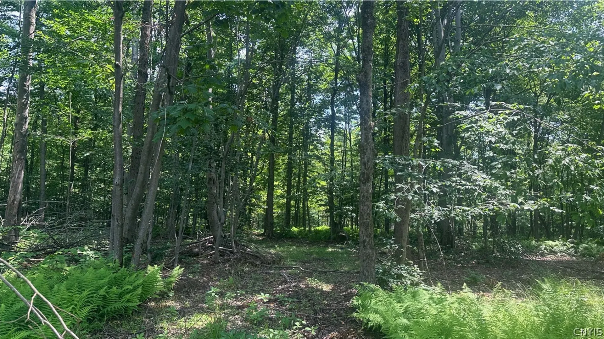 Property at 137 Windham Road, Smithville, NY 13778 16