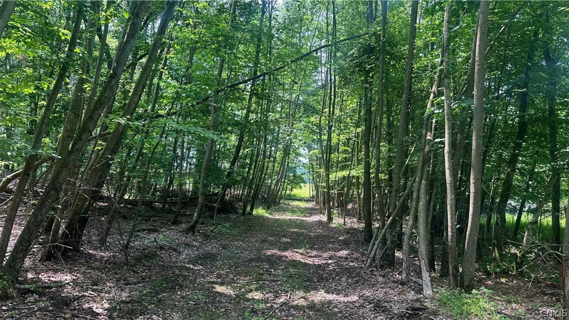 Property at 137 Windham Road, Smithville, NY 13778 18