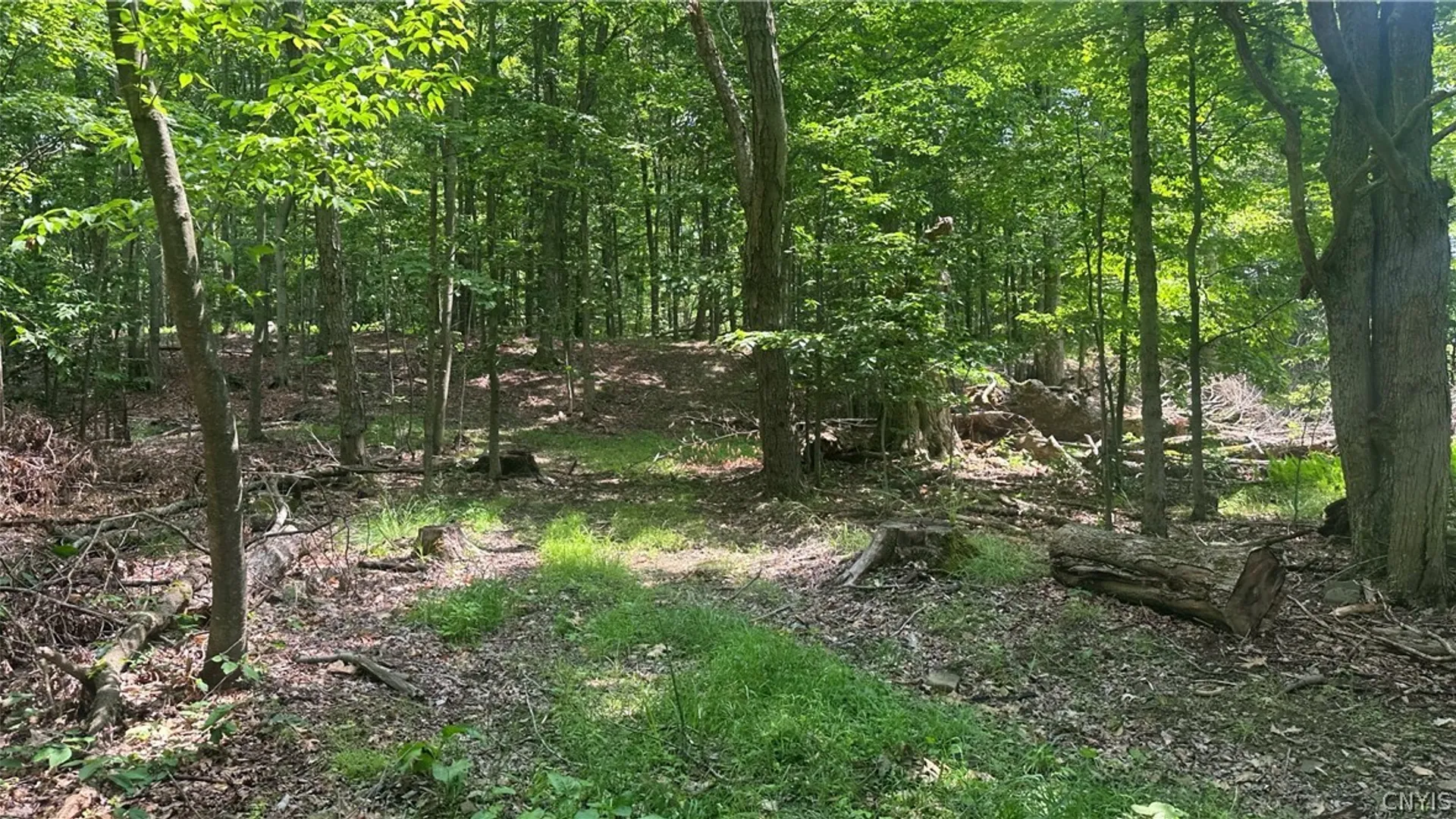 Property at 137 Windham Road, Smithville, NY 13778 19