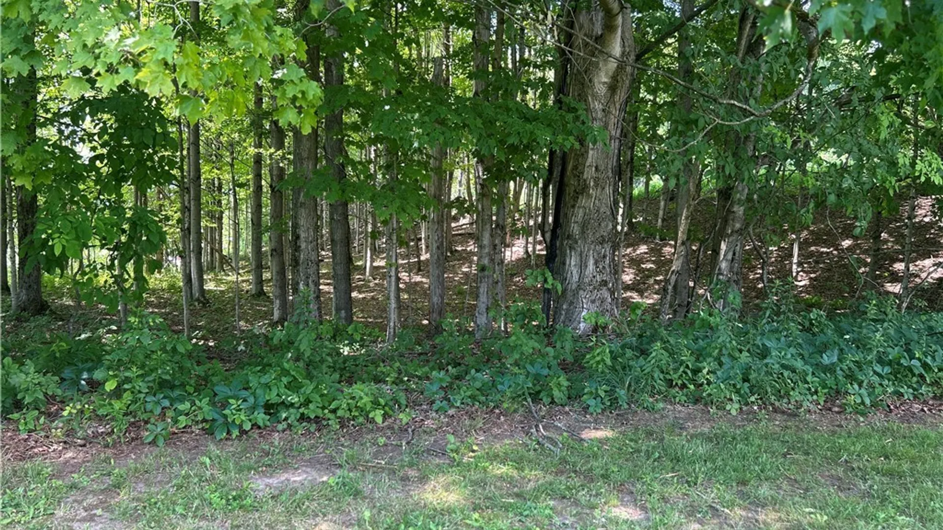 Property at 2601 Waldron Road, Camden, NY 13316 7