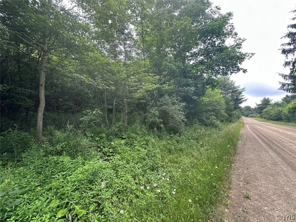 Property at Flat Iron Road, Granger, NY 14846
